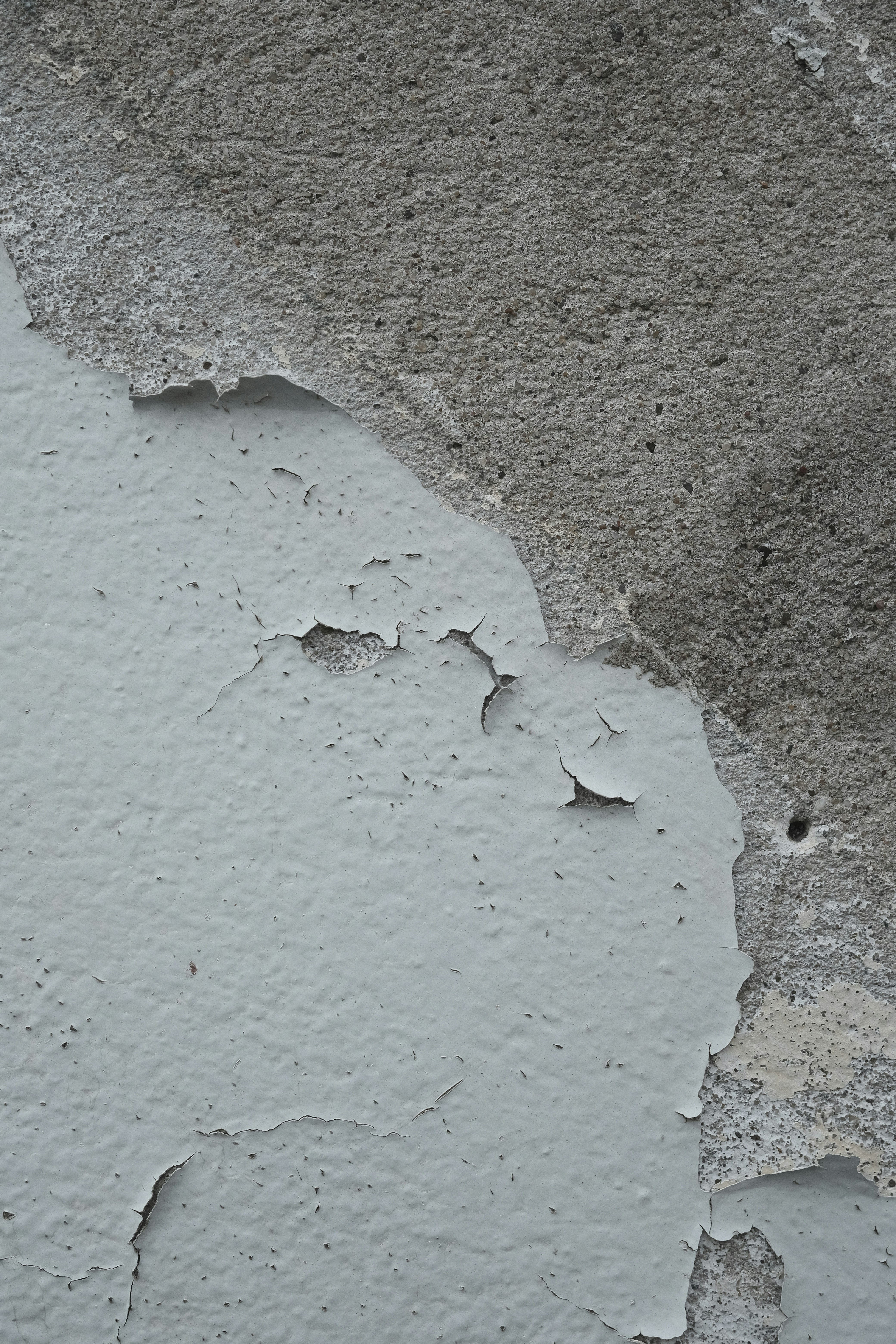 Mold and moisture damage — peeling paint and surface deterioration requiring professional remediation
